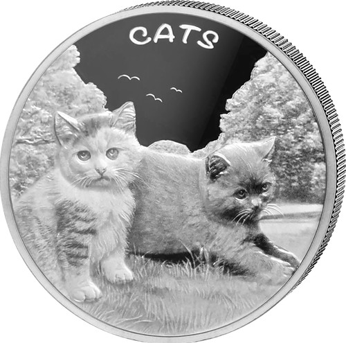Silbermünze katze 999 - katze,