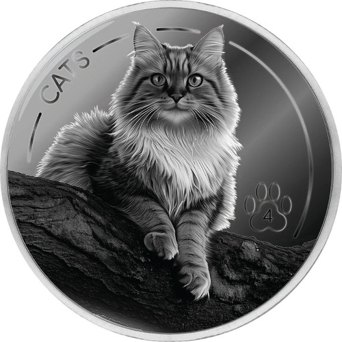 Cents silber fiji fidschi - cents,