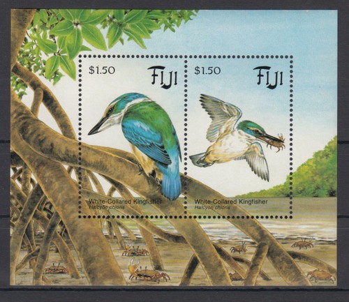 Fidschi inseln 712 - fidschi, (fiji)